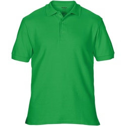 Kleidung Herren Polohemden Gildan Premium Irisches Grün