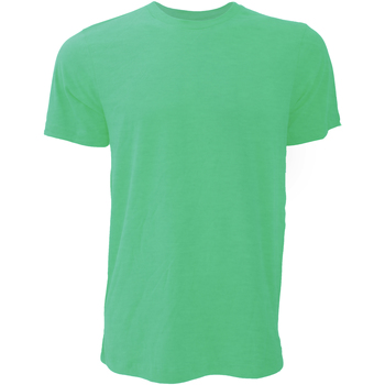 Kleidung Herren T-Shirts Bella + Canvas CA3001 Grün