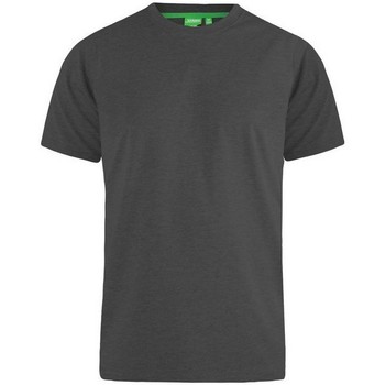 Kleidung Herren T-Shirts Duke Flyers-2 Grau
