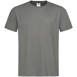 Kleidung Herren T-Shirts Stedman  Grau