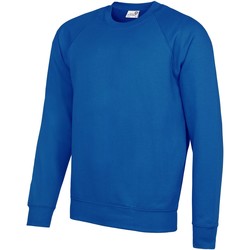 Kleidung Herren Sweatshirts Awdis AC001 Blau