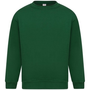 Kleidung Herren Sweatshirts Absolute Apparel Sterling Grün