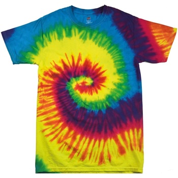 Kleidung Kinder T-Shirts Colortone TD02B Multicolor