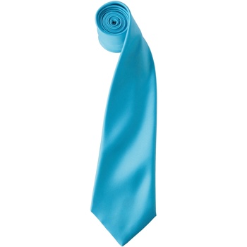 Kleidung Herren Krawatte und Accessoires Premier PR750 Türkis