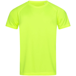 Kleidung Herren T-Shirts Stedman  Multicolor