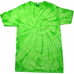 Kleidung T-Shirts Colortone Tonal Grün