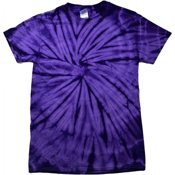 Kleidung Kinder T-Shirts Colortone Spider Violett