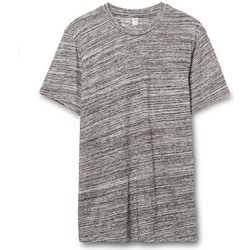 Kleidung Herren T-Shirts Alternative Apparel AT001 Grau