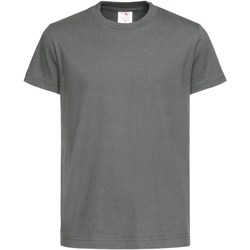 Kleidung Kinder T-Shirts Stedman  Grau