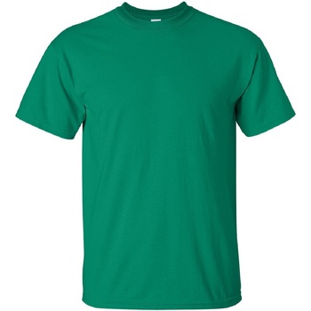 Kleidung Herren T-Shirts Gildan Ultra Kelly Grün