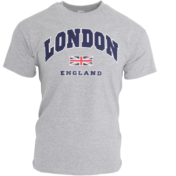 Kleidung Herren T-Shirts England  Grau