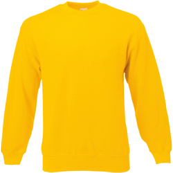 Kleidung Herren Sweatshirts Universal Textiles 62202 Gold