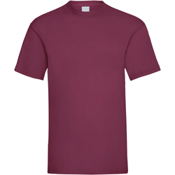 Kleidung Herren T-Shirts Universal Textiles 61036 Stierblut