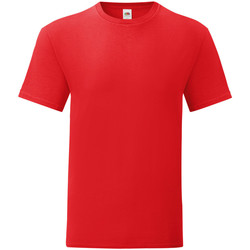 Kleidung Herren T-Shirts Fruit Of The Loom 61430 Rot