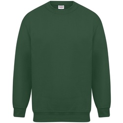 Kleidung Herren Sweatshirts Absolute Apparel Magnum Grün