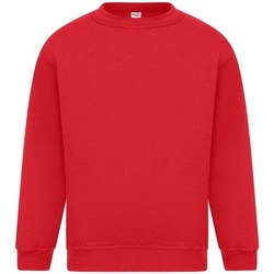 Kleidung Herren Sweatshirts Absolute Apparel Sterling Rot