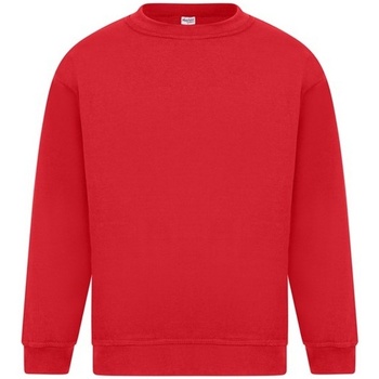 Kleidung Herren Sweatshirts Absolute Apparel Sterling Rot