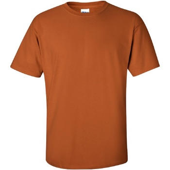 Kleidung Herren T-Shirts Gildan Ultra Orange