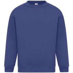 Kleidung Herren Sweatshirts Absolute Apparel Sterling Blau