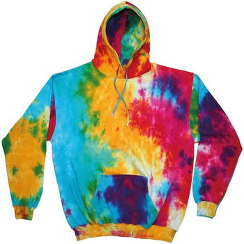 Kleidung Sweatshirts Colortone TD31M Multicolor