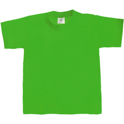 Kleidung Kinder T-Shirts B And C TK301 Grün