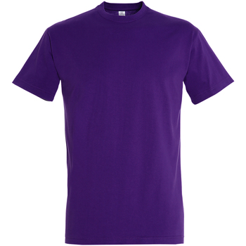 Kleidung Herren T-Shirts Sols 11500 Violett