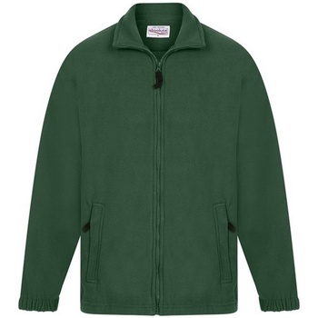 Kleidung Herren Sweatshirts Absolute Apparel  Grün