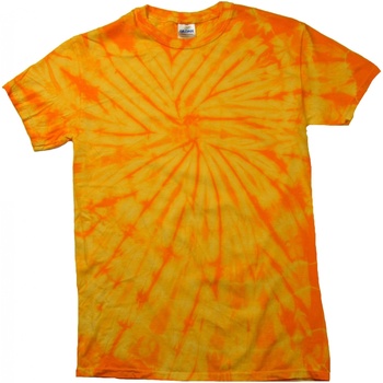 Kleidung Kinder T-Shirts Colortone Spider Multicolor