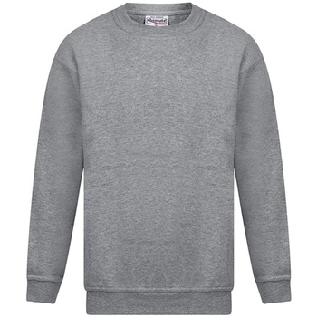 Kleidung Herren Sweatshirts Absolute Apparel Magnum Grau