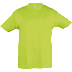 Kleidung Kinder T-Shirts Sols 11970 Grün