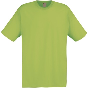 Kleidung Herren T-Shirts Universal Textiles 61082 Frühlingsgrün