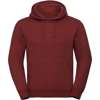 Kleidung Sweatshirts Russell R261M Rot