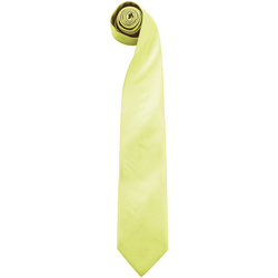 Kleidung Herren Krawatte und Accessoires Premier  Limette