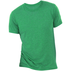 Kleidung Herren T-Shirts Bella + Canvas CA3413 Grün Triblend
