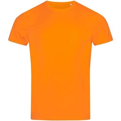Kleidung Herren T-Shirts Stedman  Orange