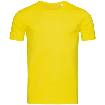 Kleidung Herren T-Shirts Stedman Stars Morgan Multicolor