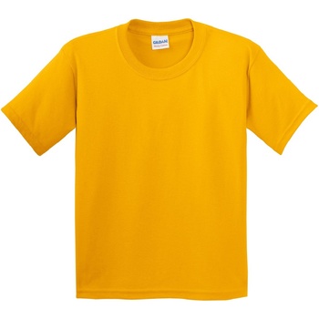 Kleidung Kinder T-Shirts Gildan 5000B Goldgelb