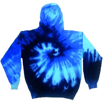 Kleidung Sweatshirts Colortone TD31M Blau