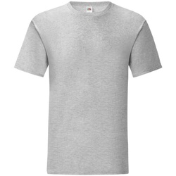 Kleidung Herren T-Shirts Fruit Of The Loom 61430 Grau