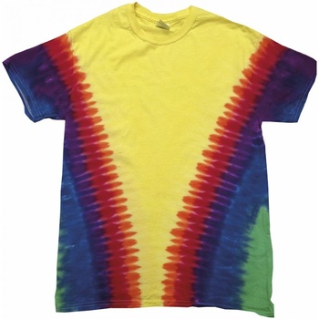 Kleidung Kinder T-Shirts Colortone TD05B Multicolor