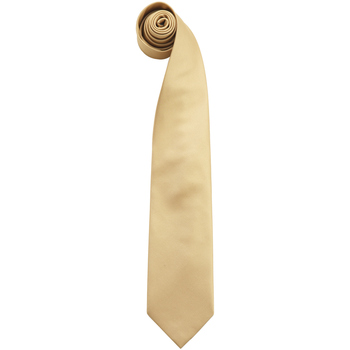 Kleidung Herren Krawatte und Accessoires Premier PR765 Multicolor