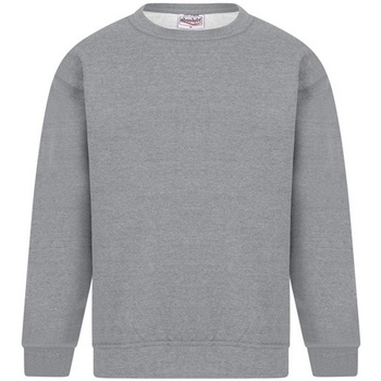 Kleidung Herren Sweatshirts Absolute Apparel Sterling Grau