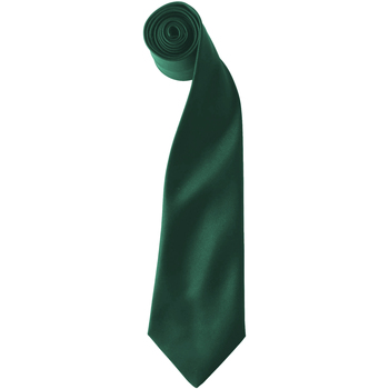 Kleidung Herren Krawatte und Accessoires Premier  Grün