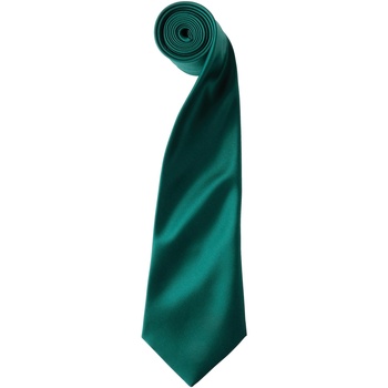 Kleidung Herren Krawatte und Accessoires Premier PR750 Grün