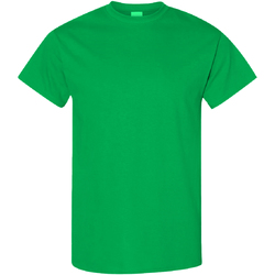 Kleidung Herren T-Shirts Gildan Heavy Irisch Grün
