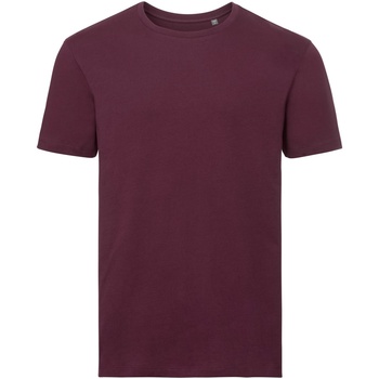Kleidung Herren T-Shirts Russell R108M Multicolor