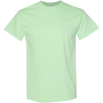 Kleidung Herren T-Shirts Gildan Heavy Grün