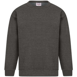 Kleidung Herren Sweatshirts Absolute Apparel Sterling Multicolor