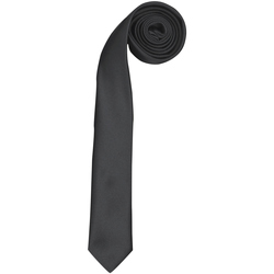 Kleidung Herren Krawatte und Accessoires Premier  Schwarz
