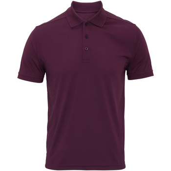 Kleidung Herren Polohemden Premier PR615 Violett